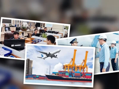 Đại lý làm thủ tục hải quan Ai mới là chuyên gia thật sự giữa biển thông tin?