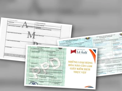 Danh Mục Hàng Phải Nộp Phytosanitary Gốc: Bản Chất Thực Sự Bạn Cần Biết