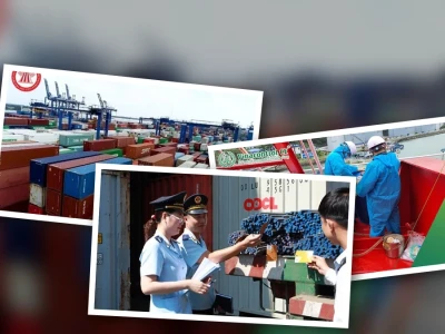 Giám Định Hải Quan: Lật Tẩy Sai Lầm và Con Đường Tối Ưu Hóa Doanh Nghiệp