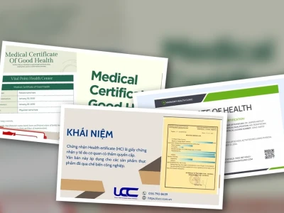 Hàng hóa bắt buộc có Health Certificate: Lật Tẩy Quy Trình Cấp Chứng Nhận Y Tế Năm 2026
