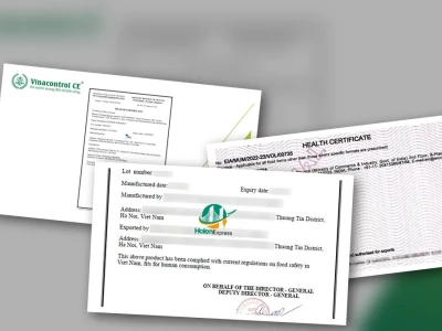 Health Certificate là gì? Thủ tục cấp chứng nhận y tế và những điều kiện bạn CẦN BIẾT