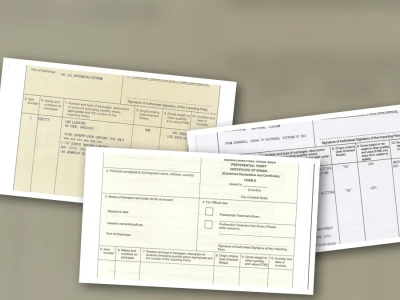 Hóa đơn bên thứ ba C/O Form E: Thủ thuật hay cạm bẫy? Phân tích toàn diện