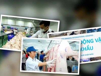 Kiểm Dịch Động Vật Nhập Khẩu Lộ Diện Những Rủi Ro Khó Lường