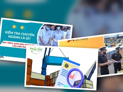 Kiểm Tra Chuyên Ngành Là Gì: Góc Nhìn Gai Góc Về Thủ Tục Hải Quan