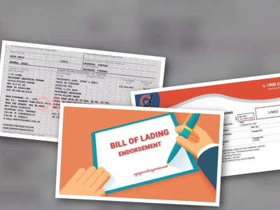 Ký Hậu Vận Đơn: Sự Thật Gai Góc Đằng Sau Nghiệp Vụ Quan Trọng Nhất Ngành Xuất Nhập Khẩu