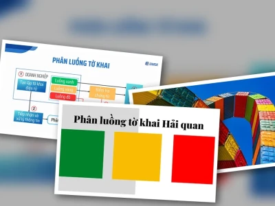 Luồng Xanh Hải Quan 2026: Bí Mật Giúp Thông Quan Tức Thì Hay Cạm Bẫy Ngầm?