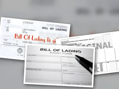 Mất Bill of Lading Gốc Xử Lý Thế Nào Khi Sự Cố Bất Ngờ Ập Đến