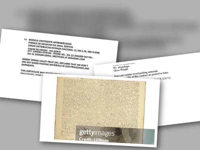 Non-Wood Declaration: "Mánh Khóe" Hay "Yêu Cầu Bắt Buộc" Cho Thương Mại Toàn Cầu?