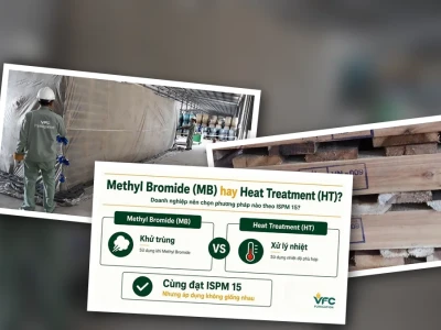 Phân biệt khử trùng MB và HT: Lầm tưởng và sự thật phytosanitary