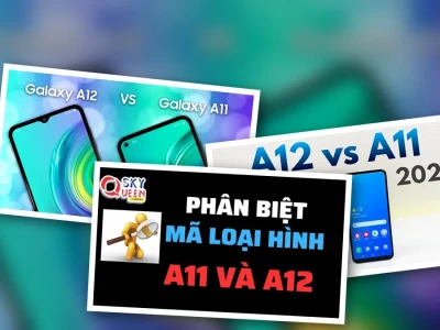 Phân Biệt Loại Hình A11 Và A12: Điểm Khác Biệt Quyết Định Thành Công