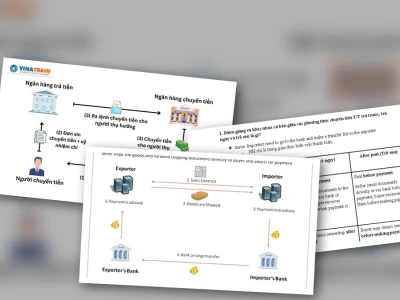 Phân biệt T/T Trả Trước và Trả Sau: Lầm Tưởng Tai Hại và Sự Thật Nghiệt Ngã
