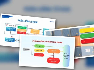 Phân Luồng Hải Quan 2026: Hé Lộ Bí Mật "Luồng Đỏ, Vàng, Xanh" Và Chiến Lược Thắng Lợi