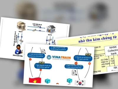Phân Tích Sâu Quy Trình Nhờ Thu Thanh Toán D/P 2026
