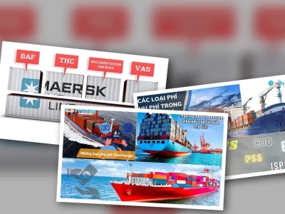 Phanh Phui Các Loại Phụ Phí Cước Biển: Bẫy Ngầm Hay Chi Phí Thiết Yếu?