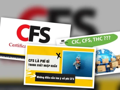 Phí CFS là gì Lịch sử hình thành và những góc khuất chưa từng được tiết lộ