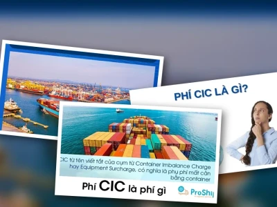 Phí CIC là gì Giải mã Phụ phí Gây Tranh Cãi Năm 2026