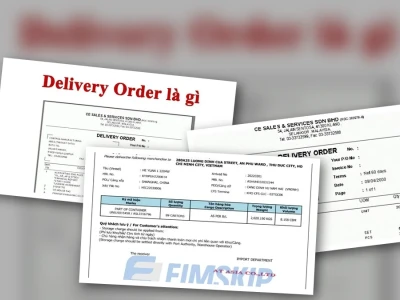 Phí D/O là gì Giải mã Lệnh Giao Hàng và Chi Phí Liên Quan