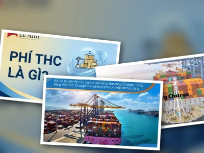 Phí THC là gì? Lật Tẩy Toàn Bộ Sự Thật Về Phụ Phí Xếp Dỡ