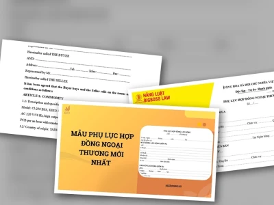 Phụ lục Hợp đồng Ngoại thương: Mẫu Mới Nhất & Bí Quyết Tránh Rủi Ro Pháp Lý