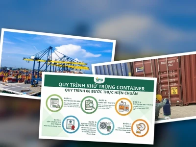 Quy Trình Khử Trùng Container Xuất Khẩu: Sự Thật Ngầm Và Lỗ Hổng Cần Vá