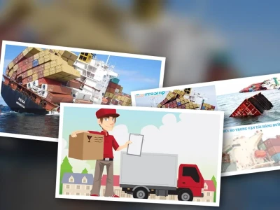 Rủi ro mất C/O khi hàng chuyển tải Giải mã nguy cơ và biện pháp phòng ngừa