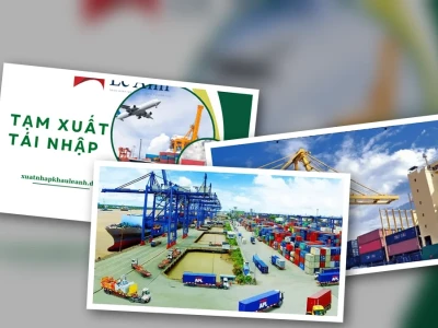 Tạm Xuất Tái Nhập Là Gì? Vạch Trần Sai Lầm và Hướng Dẫn Thủ Tục Chi Tiết 2026