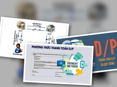 Thanh toán D/P là gì Giải mã toàn diện quy trình và rủi ro