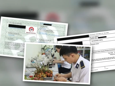 Thủ tục kiểm dịch thực vật hàng xuất khẩu Ai cũng cần biết 2026