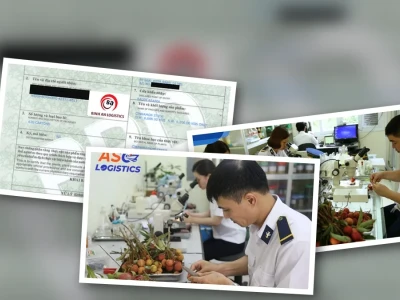 Thủ Tục Kiểm Dịch Thực Vật Xuất Khẩu Quy Trình Cần Biết Năm 2026