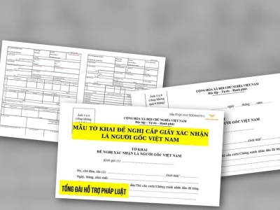 Tờ khai nguồn gốc là gì Những điều luật sư không muốn bạn biết 2026