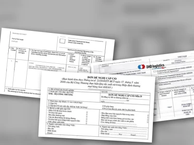 Tra cứu C/O Form D điện tử ASW: Sự thật ẩn giấu và LỖI CẦN TRÁNH