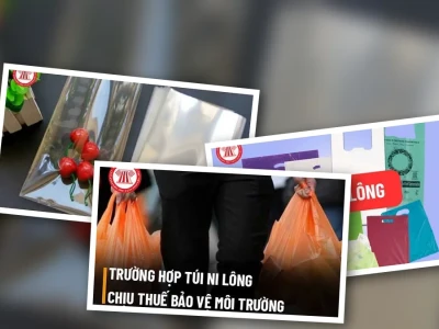 Túi PE Có Chịu Thuế Môi Trường Không? Lật Tẩy Quy Định 2026