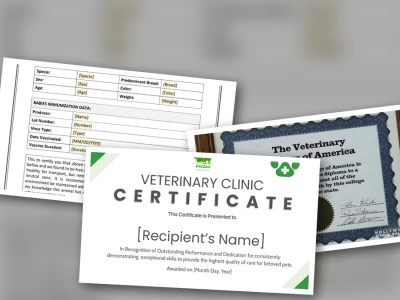 Veterinary Certificate Ai Cũng Cần Biết - Cập Nhật 2026